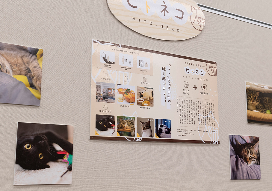 里親募集型保護猫カフェ「ヒトネコ」のアイキャッチ