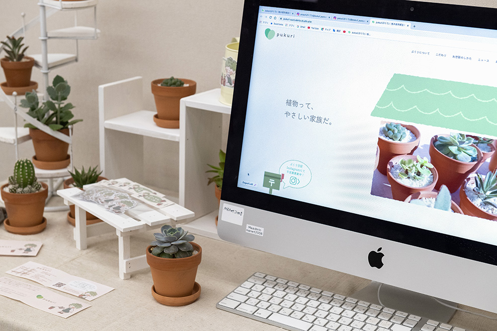 多肉植物専門店 pukuriのアイキャッチ