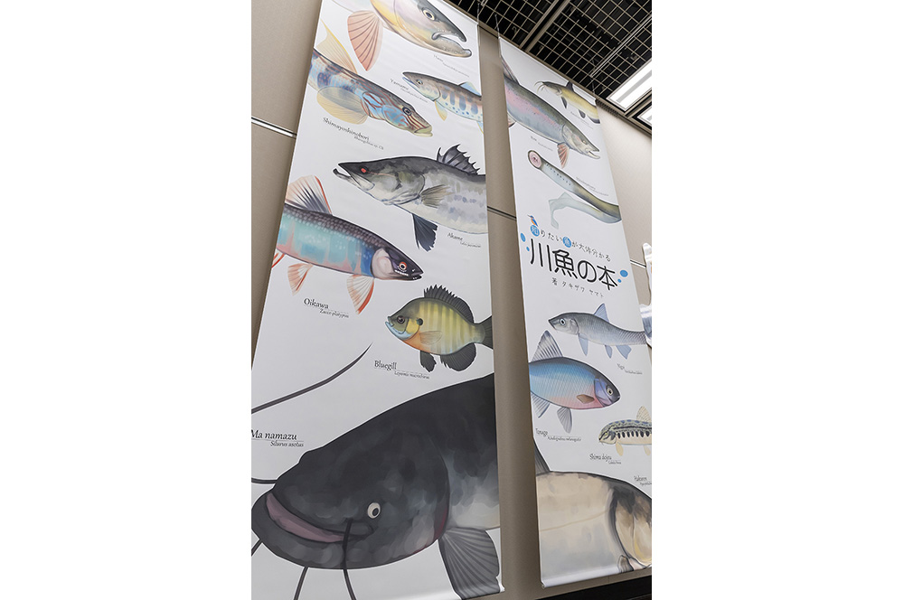 知りたい魚が大体分かる 川魚の本 宇都宮メディア アーツ専門学校 栃木県でイラスト デザインを学ぶ